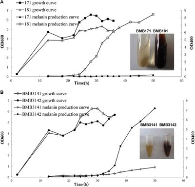 Single Amino Acid Substitution in Homogentisate Dioxygenase Affects Melanin Production in Bacillus thuringiensis